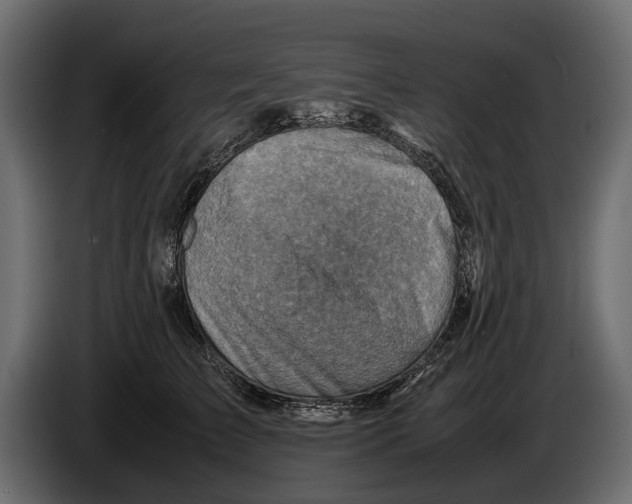 X0000082990709200703020844