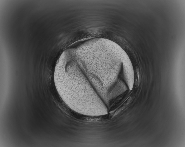 X0000082990710200703020844