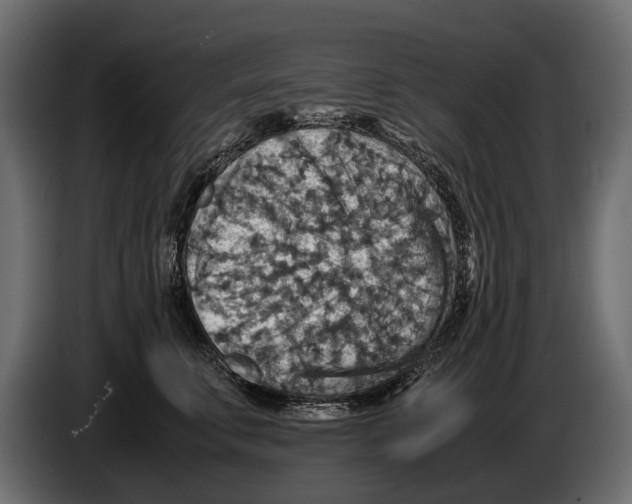 X0000082990711200703020844