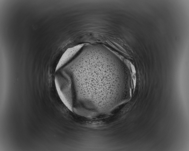 X0000082990716200703020844