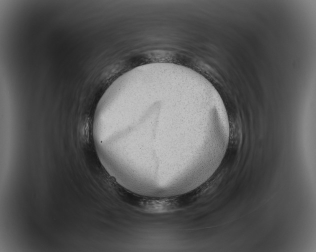 X0000082990717200703020844