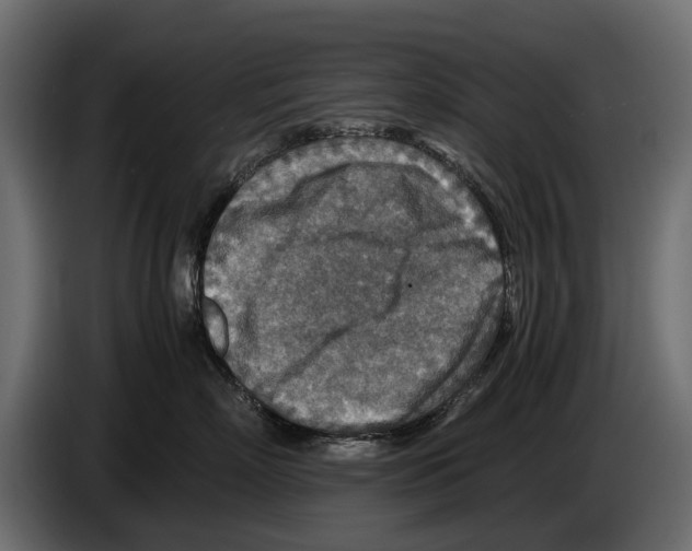 X0000082990718200703020844