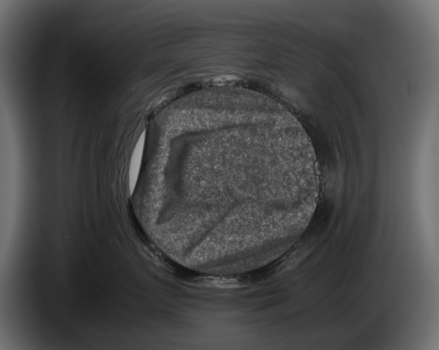 X0000082990719200703020844