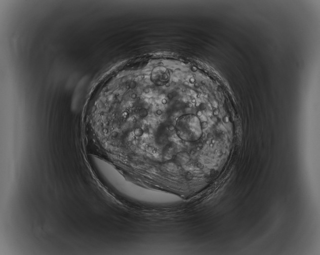 X0000082990721200703020843