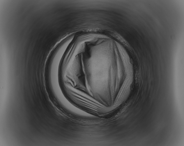 X0000082990722200703020843