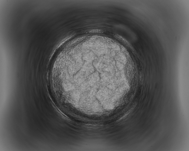 X0000082990725200703020844