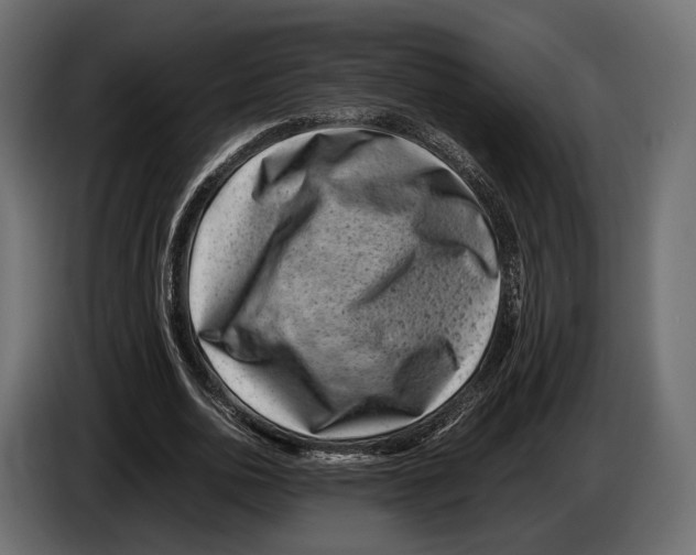 X0000082990726200703020844