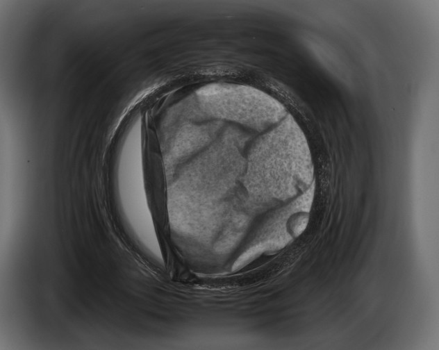 X0000082990727200703020844