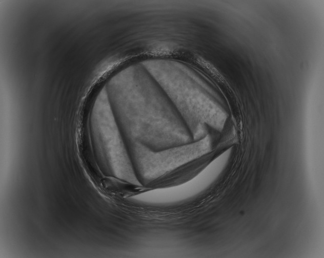 X0000082990728200703020844