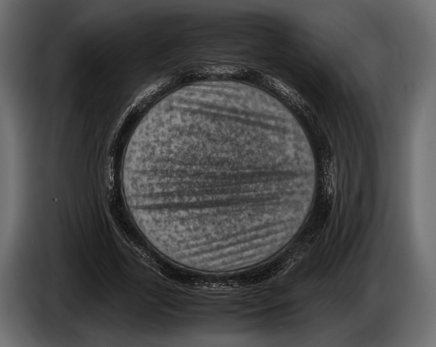 X0000082990731200703020844