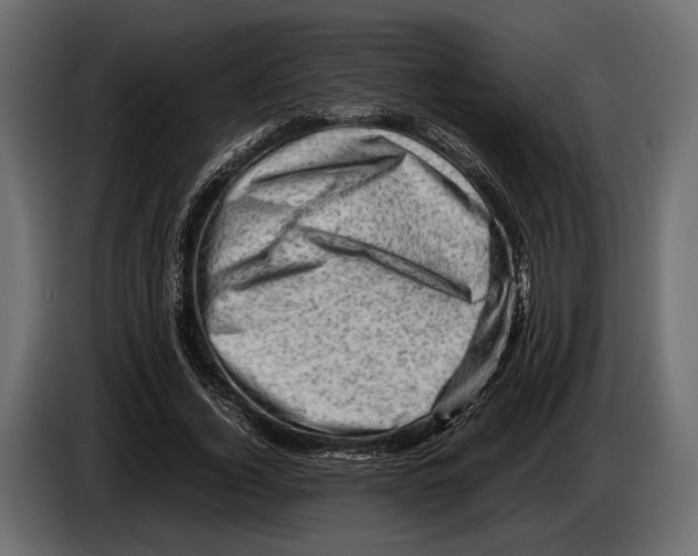 X0000082990732200703020844