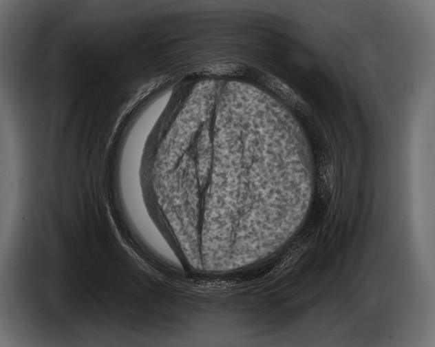 X0000082990734200703020844