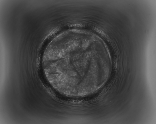 X0000082990735200703020844