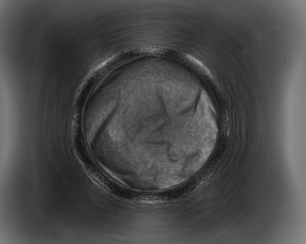 X0000082990736200703020844