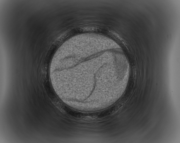 X0000082990737200703020844