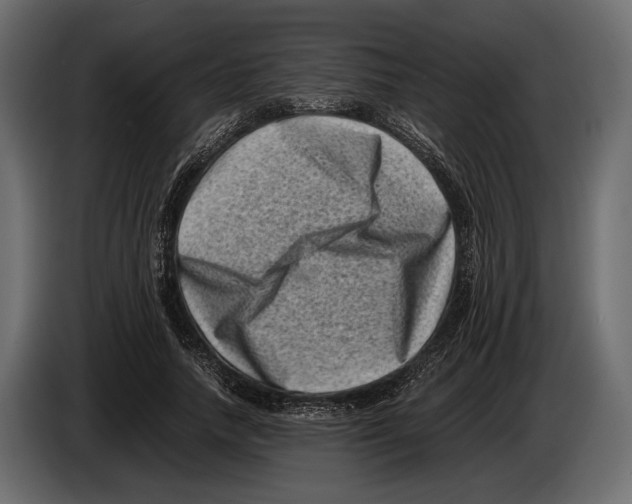 X0000082990738200703020844