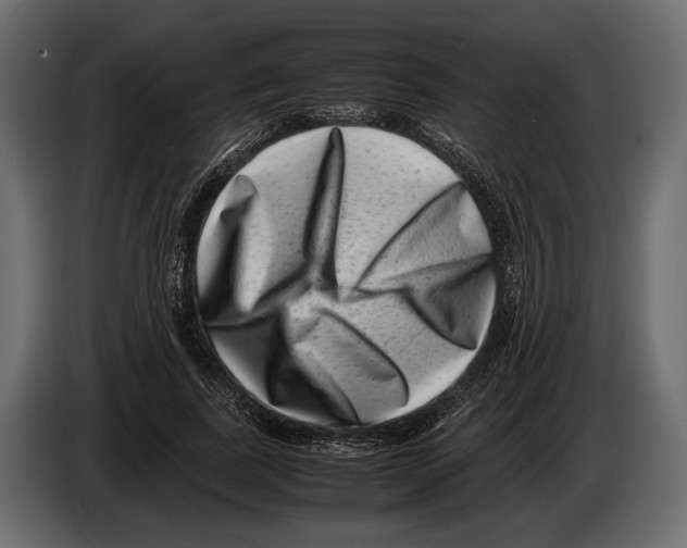 X0000082990739200703020844