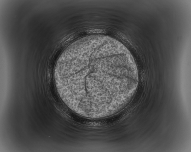 X0000082990741200703020844