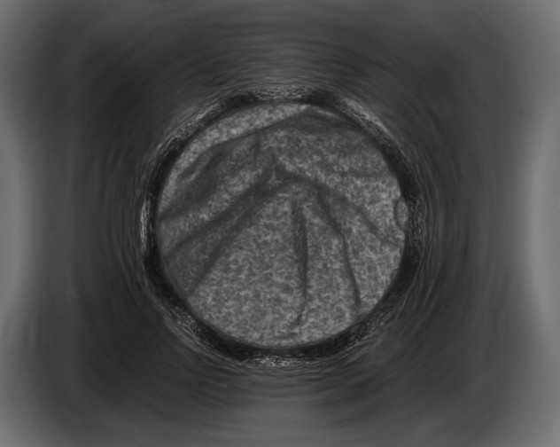 X0000082990742200703020844