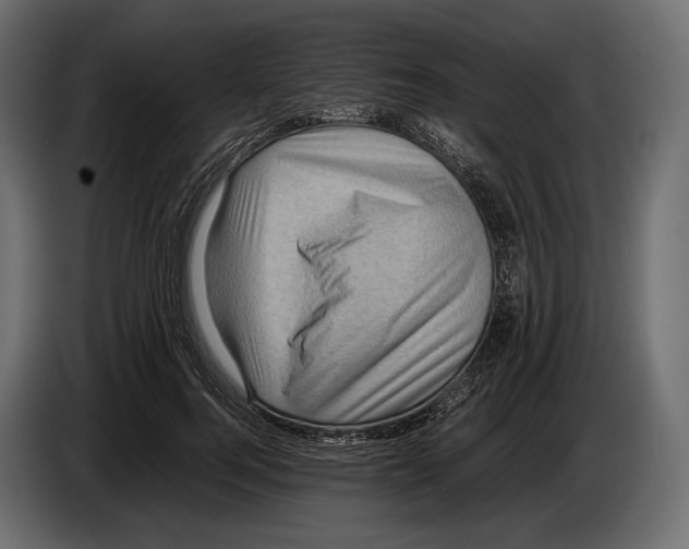 X0000082990744200703020844