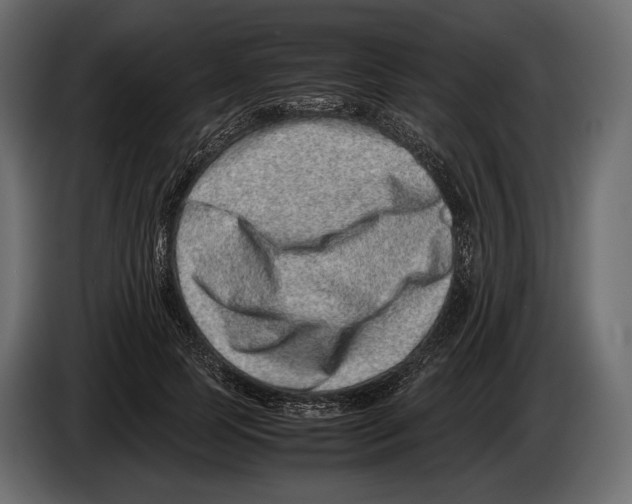 X0000082990745200703020844