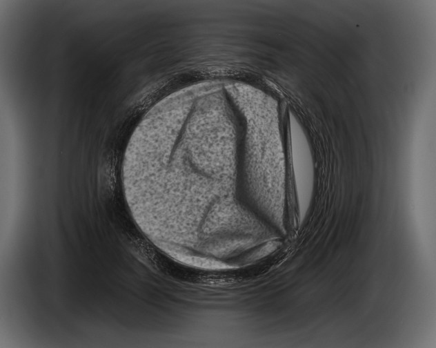 X0000082990746200703020844