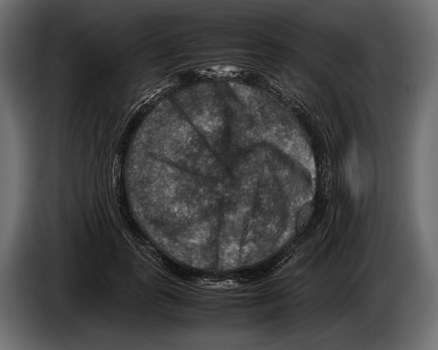 X0000082990747200703020844