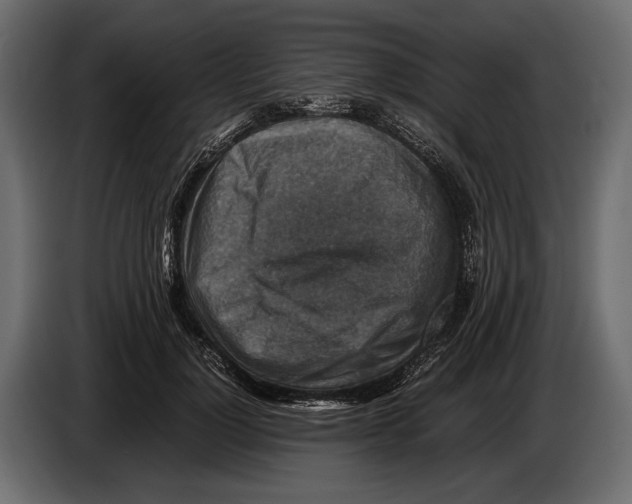 X0000082990748200703020844