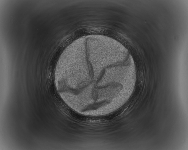 X0000082990749200703020844