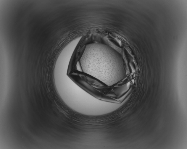 X0000082990750200703020844