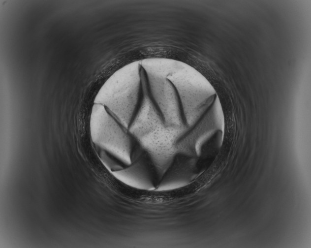 X0000082990751200703020844