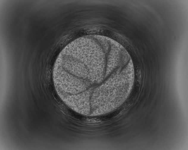 X0000082990753200703020844