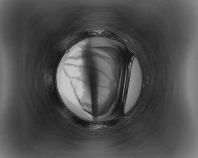 X0000082990754200703020844