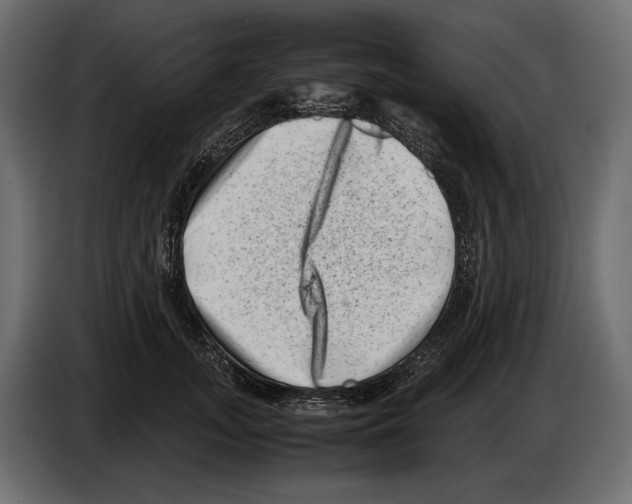 X0000082990755200703020844