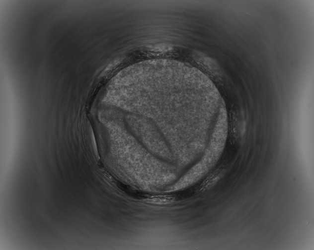 X0000082990758200703020844