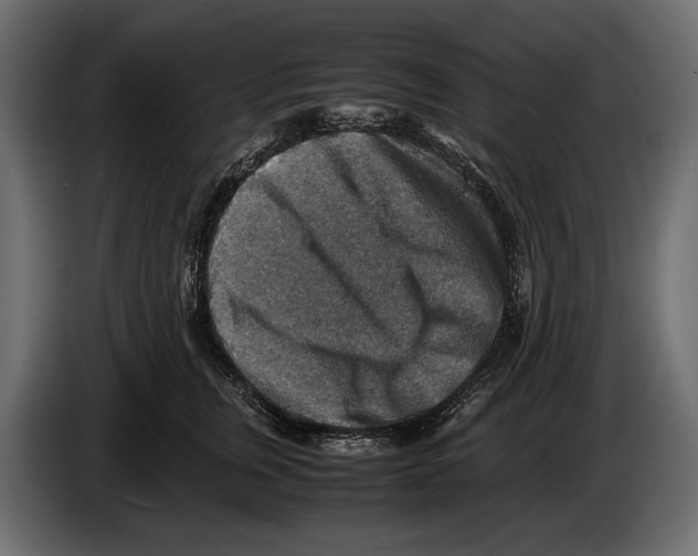 X0000082990759200703020844