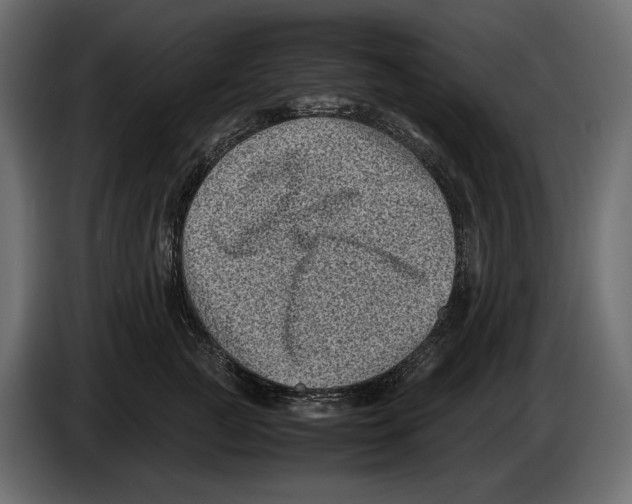 X0000082990761200703020844