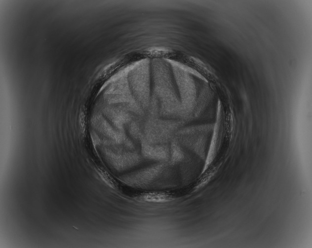 X0000082990762200703020844