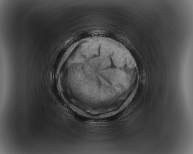 X0000082990763200703020844