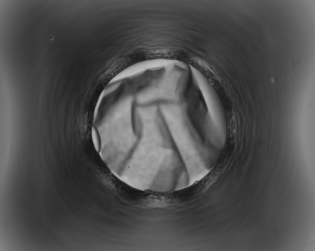 X0000082990764200703020844