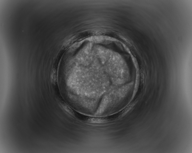 X0000082990766200703020844