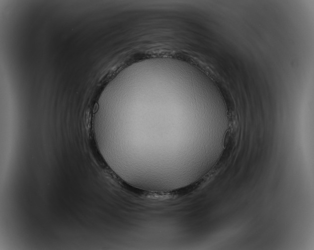 X0000082990767200703020844