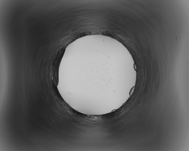 X0000082990768200703020844