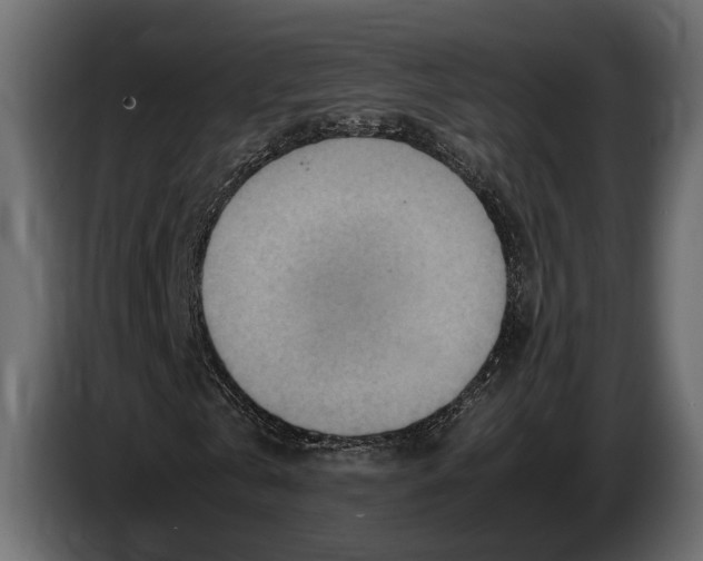 X0000082990769200703020843