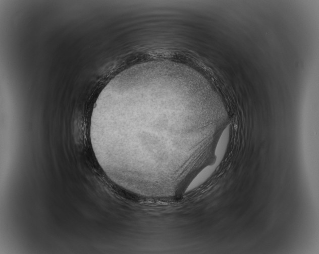 X0000082990772200703020843