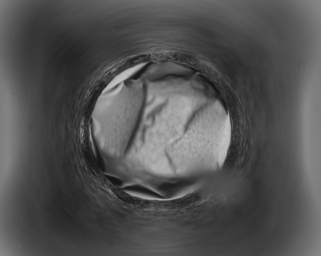 X0000082990773200703020843