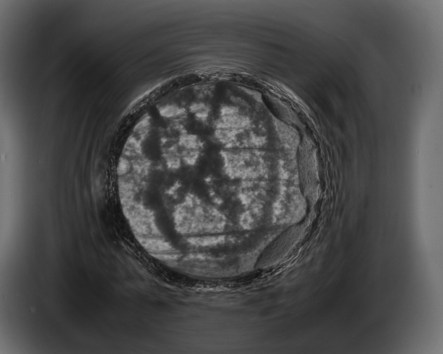 X0000082990775200703020843