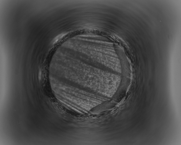 X0000082990776200703020843