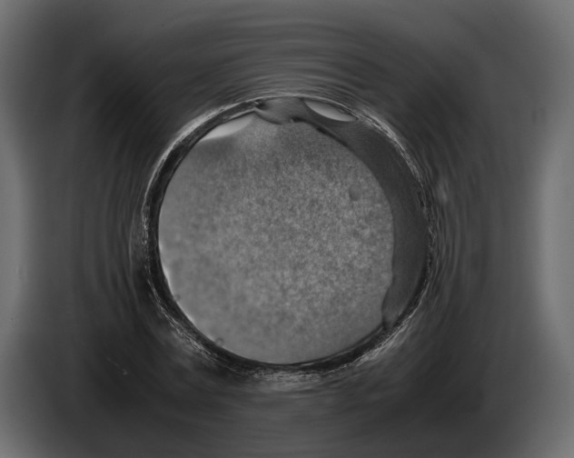 X0000082990779200703020843