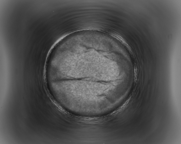 X0000082990780200703020843